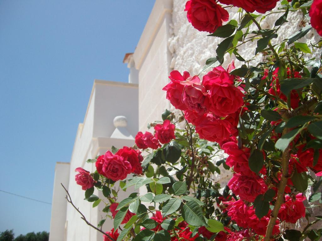 Гостьовий будинок Masseria Nuova San Marzano di San Giuseppe Екстер'єр фото