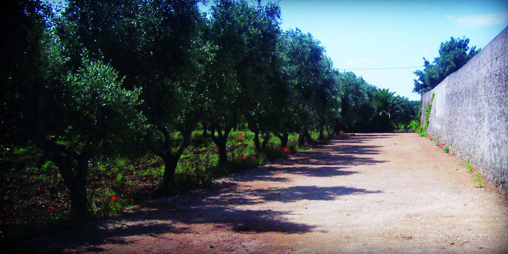 Гостьовий будинок Masseria Nuova San Marzano di San Giuseppe Екстер'єр фото